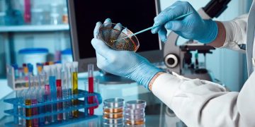 ANEAES detecta baja tasa de acreditación en las carreras de Farmacia y Química