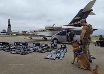 Jueza ordena peritar celulares de estadounidenses detenidos por caso “marihuana premium”