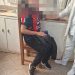 Encontraron en Yby Yaú a adolescente desaparecida y embarazada de cinco meses