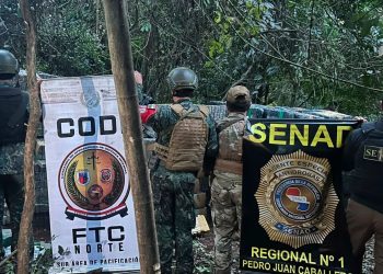 Desmantelan centro de acopio de droga y decomisan más de 53 toneladas de marihuana