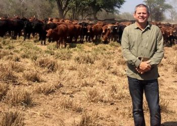 Bienes de Darío Messer valorados en USD 150 millones pasan definitivamente a manos del Estado