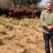 Bienes de Darío Messer valorados en USD 150 millones pasan definitivamente a manos del Estado