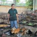 Vietnam: Policía rescató a cientos de gatos para consumo humano tras una redada