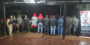 Caen siete sospechosos por abigeato en Misiones
