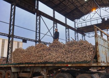 Planta alcoholera de Petropar alcanza las 60.000 toneladas de caña molida a un mes de iniciar la zafra