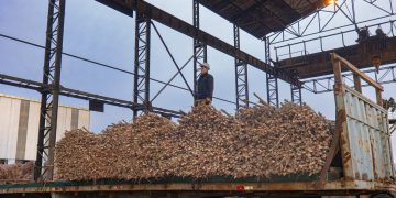 Planta alcoholera de Petropar alcanza las 60.000 toneladas de caña molida a un mes de iniciar la zafra