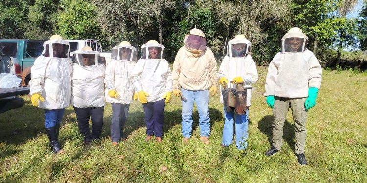 Proteger a los polinizadores: el objetivo de la nueva capacitación del MAG 