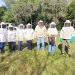 Proteger a los polinizadores: el objetivo de la nueva capacitación del MAG 
