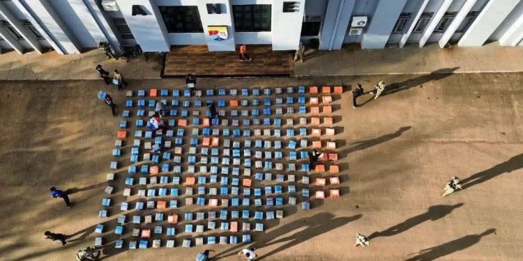 Incautan casi siete toneladas de marihuana ocultas cerca del Lago Itaipú en Alto Paraná