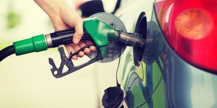 Petropar implementará desde el lunes la nueva mezcla de biodiésel