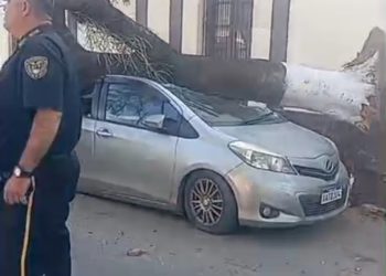 Fuertes vientos provocan caída de árboles, columnas y daños materiales en San Lorenzo