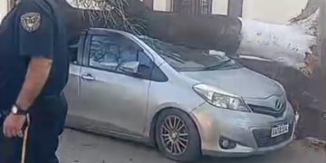 Fuertes vientos provocan caída de árboles, columnas y daños materiales en San Lorenzo