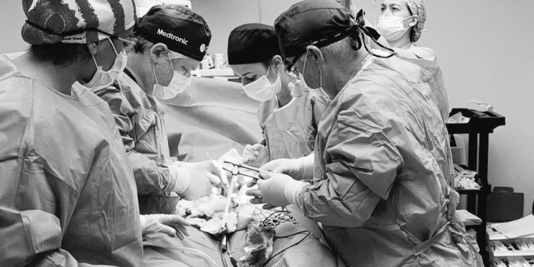 IPS realiza su trasplante renal pediátrico número 41 y el tercero del año