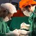 Joven de 21 años recibe un trasplante renal exitoso en el Hospital Nacional de Itauguá