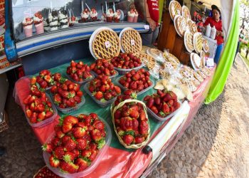 Expo Frutilla 2026 inició en Areguá con más productores, nuevos productos y actividades para toda la familia