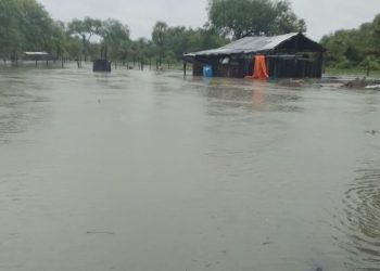Fenómeno El Niño 2026-2027 podría ser uno de los más intensos de las últimas décadas