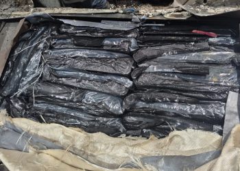 Hallan más de 311 kilos de hachís ocultos en vehículos importados desde EE.UU.