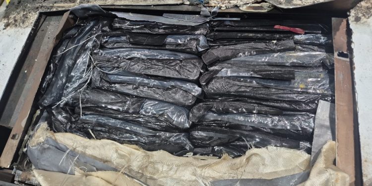Hallan más de 311 kilos de hachís ocultos en vehículos importados desde EE.UU.