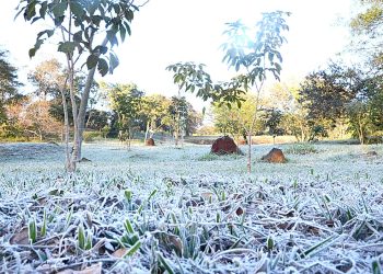 Heladas causan daños en pasturas, pero la humedad protegió a la mayoría de los cultivos