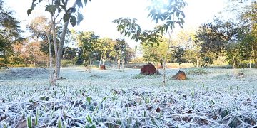 Heladas causan daños en pasturas, pero la humedad protegió a la mayoría de los cultivos
