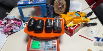 Incautan casi 3 kilos de marihuana de alta concentración de THC ocultos en encomiendas aéreas