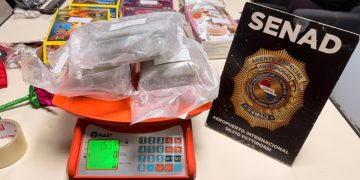 Incautan casi 3,7 kilos de marihuana «premium» ocultos en encomiendas provenientes de Miami
