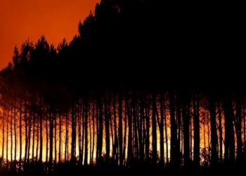 Masivas evacuaciones por incendios en Francia y España
