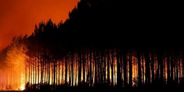 Masivas evacuaciones por incendios en Francia y España
