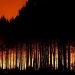 Masivas evacuaciones por incendios en Francia y España