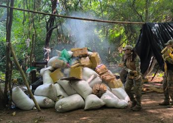 Intervienen centro de acopio de marihuana en Bella Vista Norte