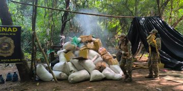 Intervienen centro de acopio de marihuana en Bella Vista Norte