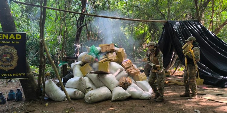 Intervienen centro de acopio de marihuana en Bella Vista Norte