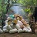 Intervienen centro de acopio de marihuana en Bella Vista Norte