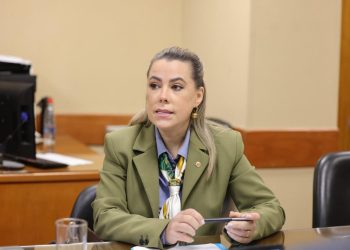 Comisión dictamina con modificaciones el proyecto que facilita la salida del país de menores en casos de incumplimiento
