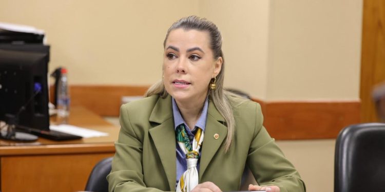 Comisión dictamina con modificaciones el proyecto que facilita la salida del país de menores en casos de incumplimiento