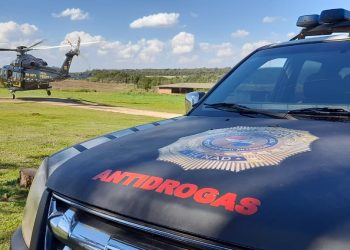 Paraguay y Brasil lanzan operación binacional contra la producción de marihuana