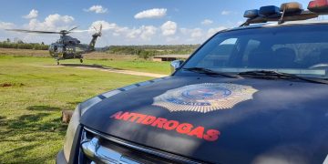 Paraguay y Brasil lanzan operación binacional contra la producción de marihuana