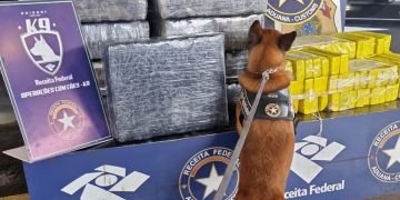 Perro de la Aduana brasileña detectó droga oculta en vehículo paraguayo