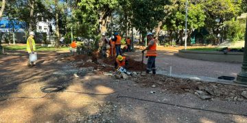 MOPC asegura que no está prevista la tala de árboles en la revitalización de la Plaza Uruguaya