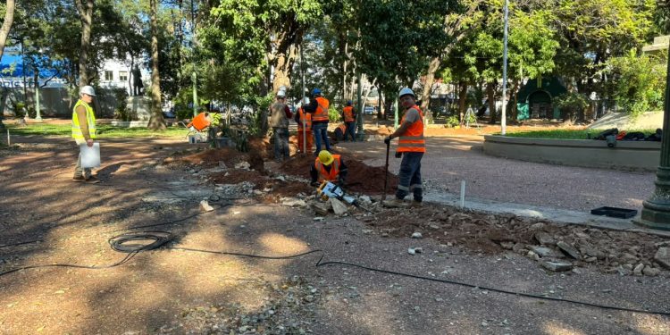 MOPC asegura que no está prevista la tala de árboles en la revitalización de la Plaza Uruguaya