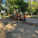 MOPC asegura que no está prevista la tala de árboles en la revitalización de la Plaza Uruguaya