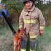 Bomberos voluntarios rescatan con vida a seis perros en Hohenau