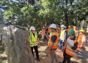 Plaza Uruguaya: vecinos se oponen a la tala indiscriminada de árboles