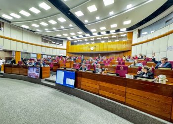 La Cámara de Senadores aprueba una declaración que rechaza las expresiones del presidente de Brasil