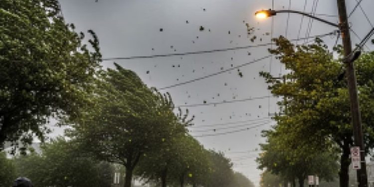 Meteorología desmiente versiones sobre un supuesto «Súper Niño»