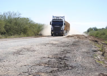 Transportistas advierten incremento de hasta 15% en fletes tras nueva mezcla de biodiésel