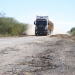 Transportistas advierten incremento de hasta 15% en fletes tras nueva mezcla de biodiésel