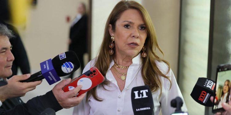 Senado aprueba proyecto de declaración de rechazo a las expresiones de Celeste Amarilla