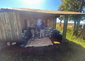 Conductor huye de un control de la SENAD y abandona más de 735 kilos de marihuana en Itakyry