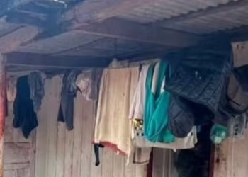 Rescatan a 19 paraguayos víctimas de explotación laboral en Brasil